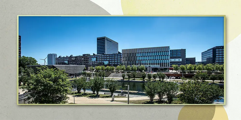 همه چیز درباره دانشگاه اراسموس روتردام + شرایط پذیرش 2025! 🎓