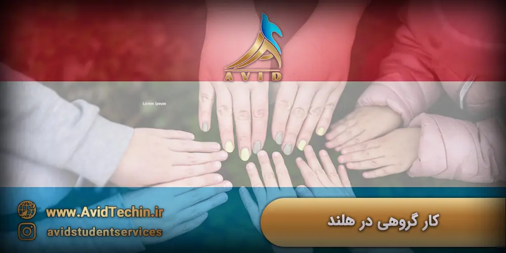 کار گروهی در هلند