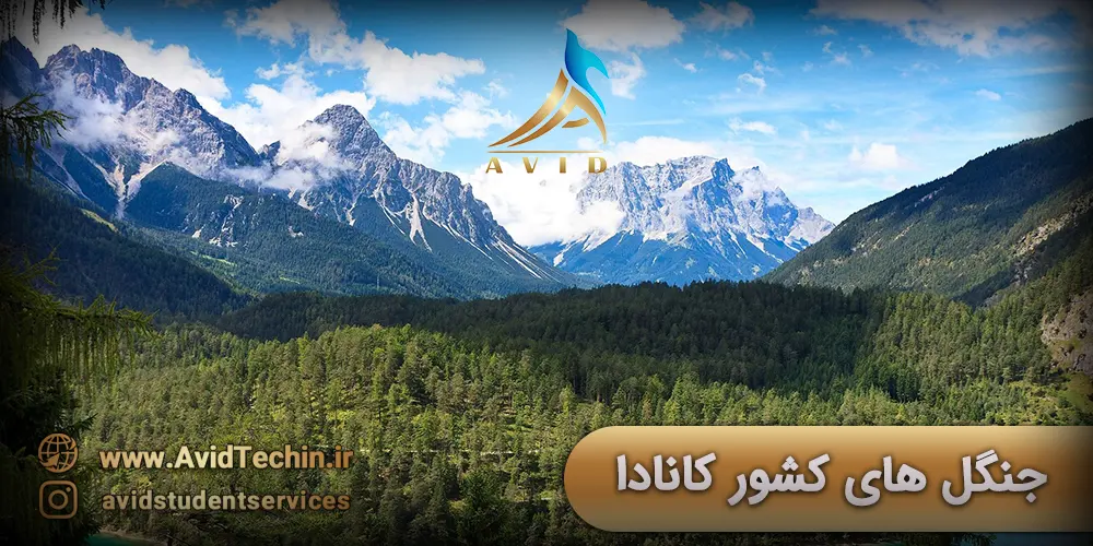 جنگل های کشور کانادا