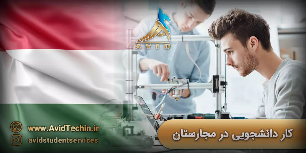 کار دانشجویی در مجارستان