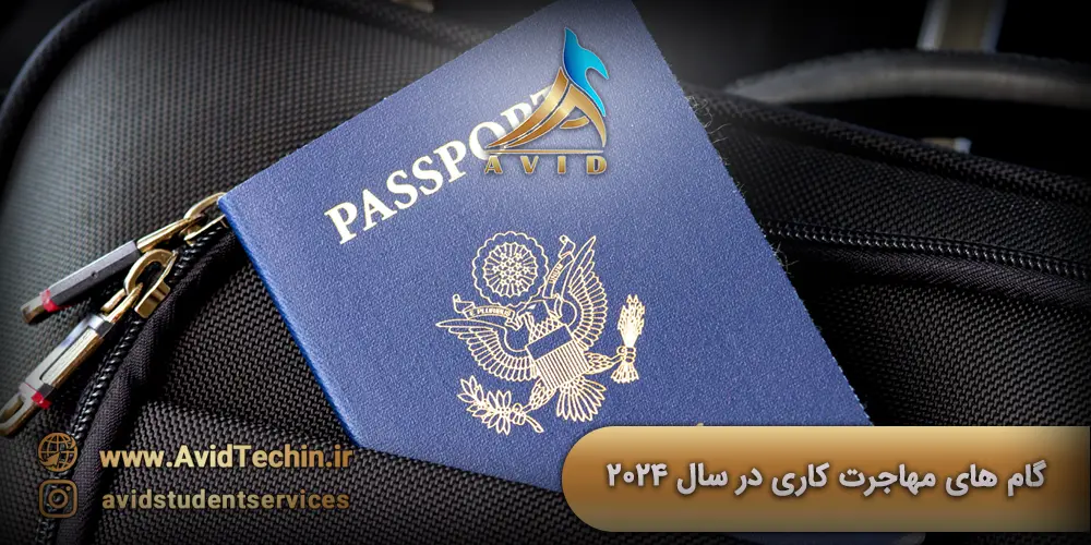 گام های مهاجرت کاری در سال 2024